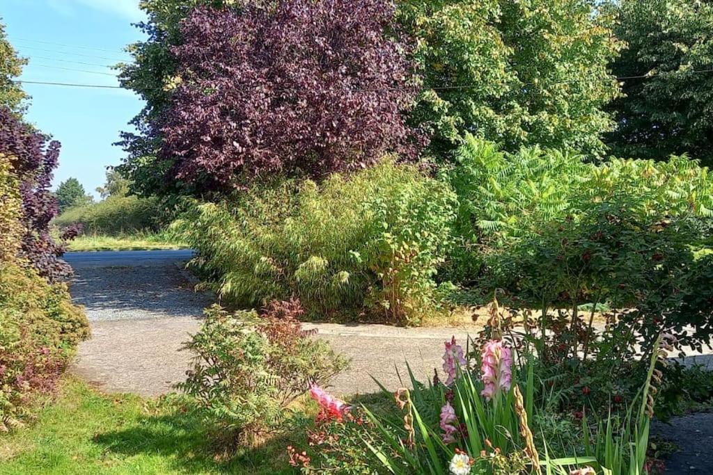 Goxhill  Millfields Cottage And Garden מראה חיצוני תמונה